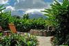 Hotel Volcano Lodge & Gardens