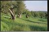 Agroturismo Horta De Torrejais