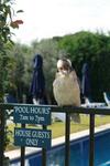 Bells At Killcare Boutique Hotel, Restaurant & Spa