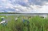 Holiday Home Boreczno Murawki