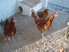 Agroturismo Casas Rurales Venta Seca
