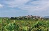 Holiday Home Przina IV