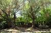 Agroturismo Los Olivos Loft