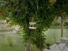 Bed & Breakfast I Due Noci