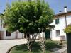 Bed & Breakfast Il Tempo Dei Sogni