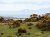 Agroturismo Glenmore House