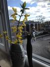 Apartament Bella Nova Centrum