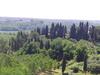 Toscana Village