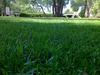 Bed & Breakfast Domus Verdiana
