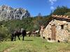 Agroturismo Casa Prieto IV