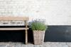 Agroturismo Cour 8 Lofts