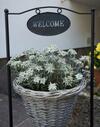 Hotel Garni Fiegl Apart