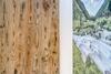 Hostal Haus Wiesenblick