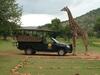 Kedar Country Lodge, Conference Centre & Spa
