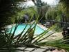 Pine Tree Lodge