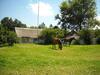 Pine Tree Lodge