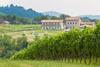 Hotel Prime Alture Wine Resort