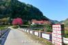Domaine Du Bonheur Cingjing