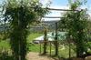 Agroturismo Country House Grencaia