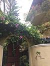 Hostal Palm Grove