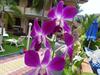 Hotel Hilda Guest House