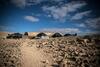 Silent Arrow