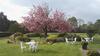 Agroturismo Grovefield House Hotel