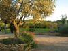 Agroturismo Casa Vacanze Poderino