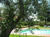 Agroturismo Casa Vacanze Poderino