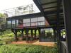 The Rainforest Ecolodge - Sinharaja