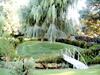 Agroturismo Mieliefontein Karoo Guest Farm