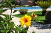 B&B I Graniti Sardi
