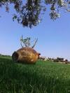 Agroturismo Masseria Galleppa