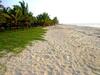 Bed & Breakfast Achayans Homestay Mararikulam