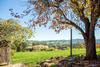 Hostal Pear Tree Cottage Bed And Breakfast