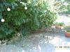 Bed & Breakfast Casa Taiola