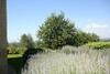 Agroturismo Podere Il Pino