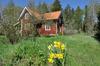 Agroturismo Br�nnk�rrstorpet B&B