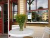 Albergue Ronneby Brunnspark Vandrarhem Och B&B