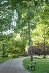Albergue Ronneby Brunnspark Vandrarhem Och B&B