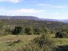 Bed & Breakfast Mpotshane Safaris