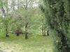 Agroturismo Borgo Petraio