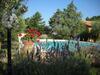 Apartamento Casa Vacanze La Ginestra