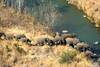 Esiweni Luxury Safari Lodge