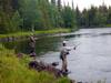 Cottage On Wild River In Lapland/sweden