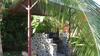 Bed & Breakfast Cabanas Los Colibris