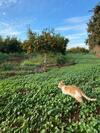 Agroturismo Gite Karima
