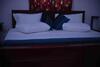 Euro Star Hotel