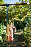 Agroturismo Reitoral De Chandrexa