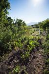 Agroturismo Reitoral De Chandrexa